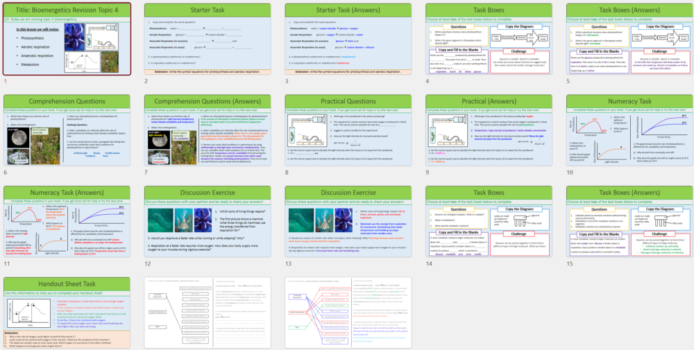 GCSE Biology Topic 1-4: Revision Bioenergetics Learning Lesson Slide Preview Thumbnails