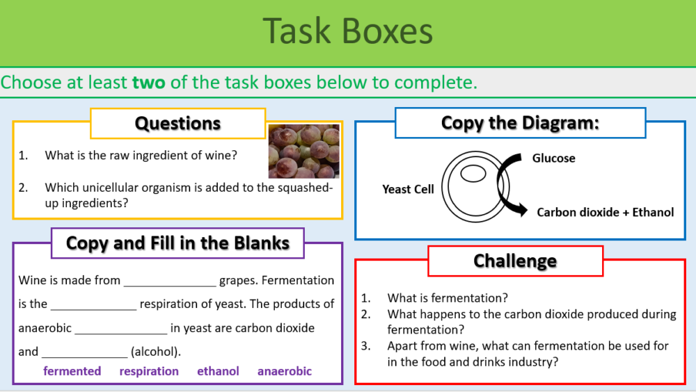 GCSE Biology Topic 4: Revision Bioenergetics Task Boxes