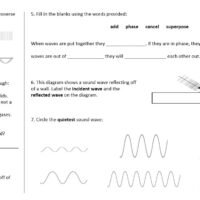 Activity Worksheet
