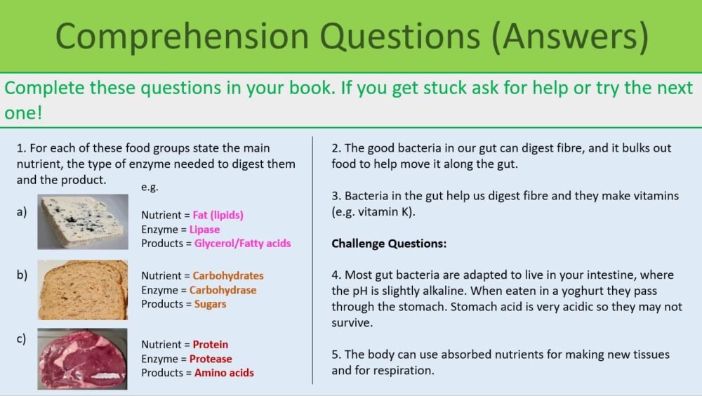 Comprehension Questions