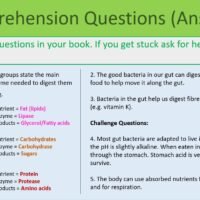 Comprehension Questions