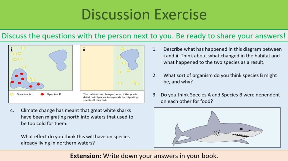 Discussion Exercise