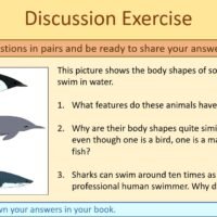 Discussion Exercise