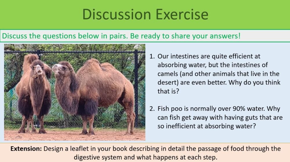 Discussion Exercise