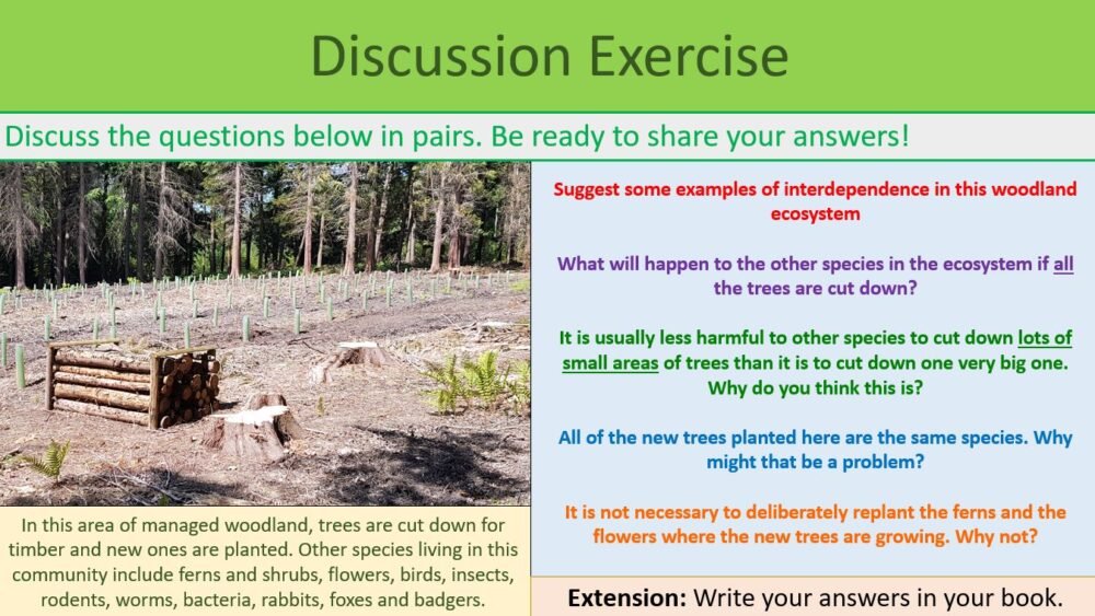Discussion Exercise