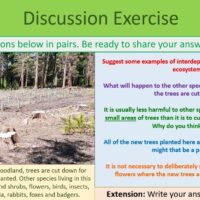 Discussion Exercise