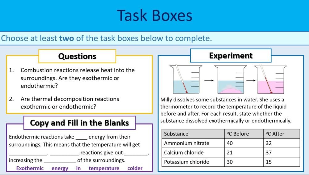 Endo Exo Task Boxes