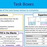 Endo Exo Task Boxes