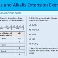 Extension Exercise