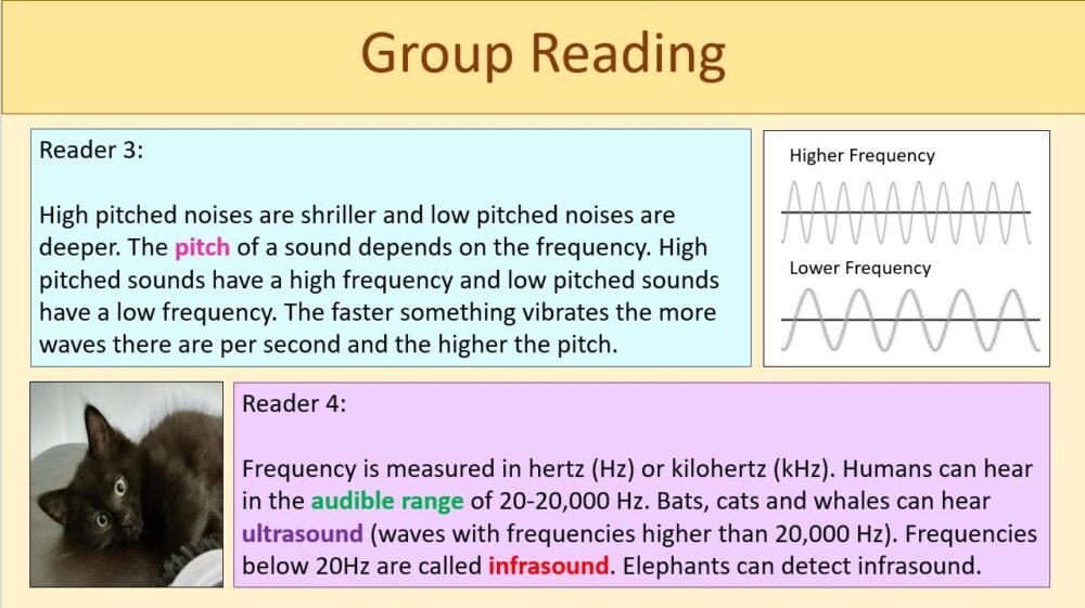 Group Reading Activity