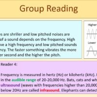 Group Reading Activity