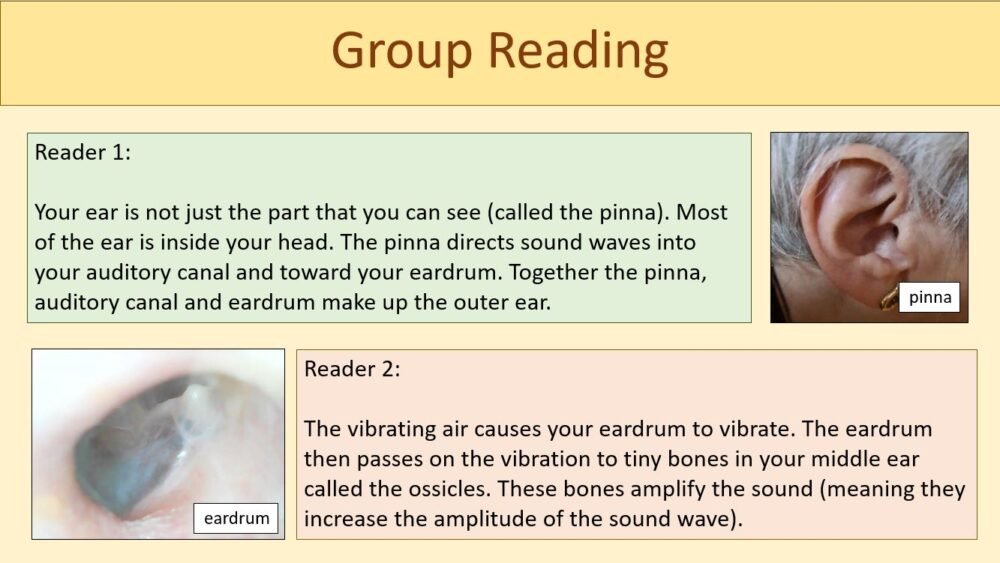 Group Reading Activity