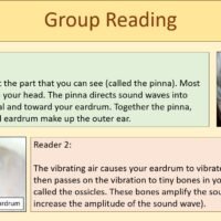 Group Reading Activity