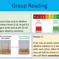 Group Reading Task