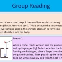 Group Reading Task