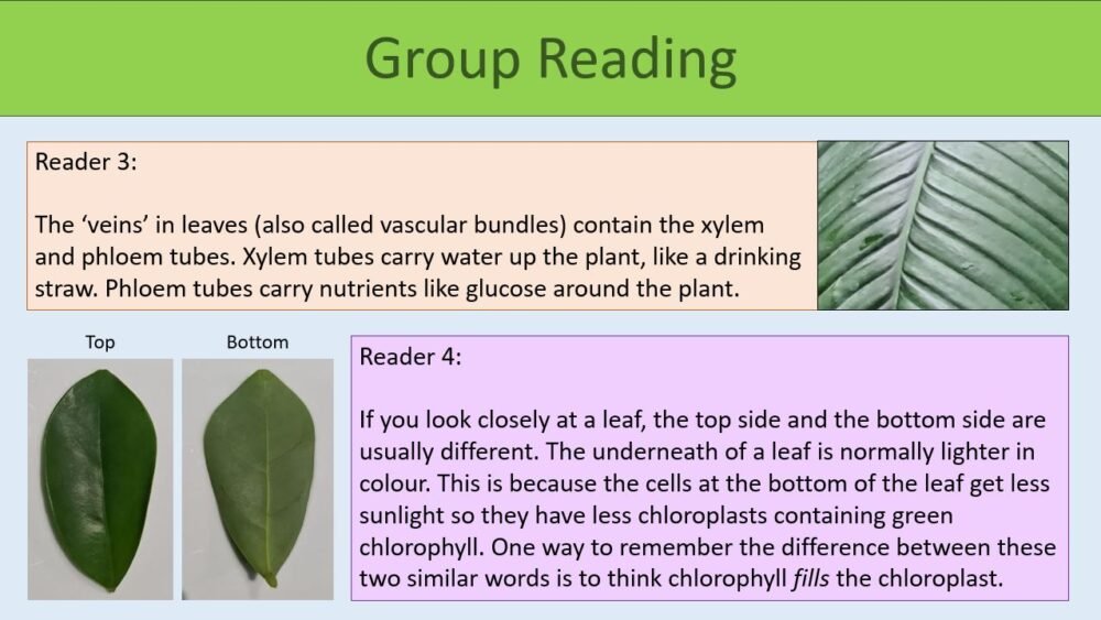 Group Reading Task