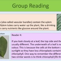 Group Reading Task