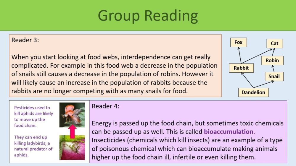 Group Reading Task