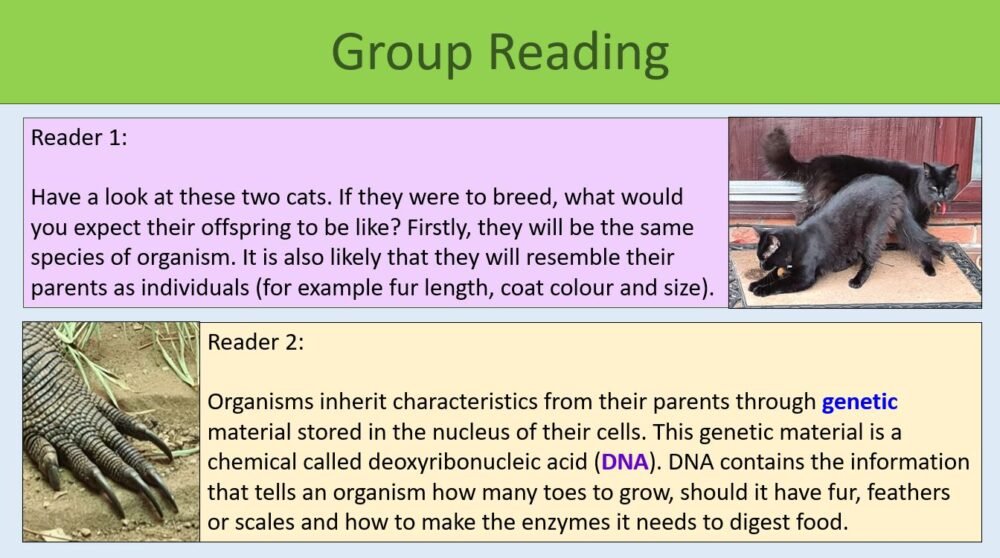 Group Reading Task