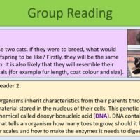 Group Reading Task