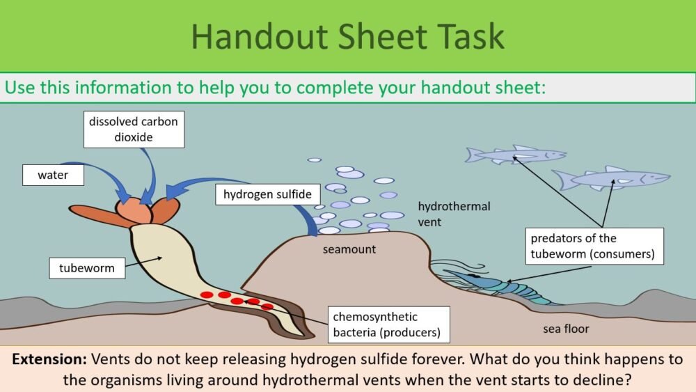 Handout Sheet Activity