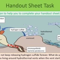 Handout Sheet Activity