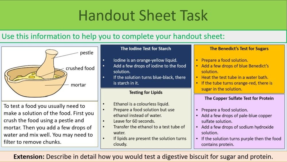 Handout Sheet Activity