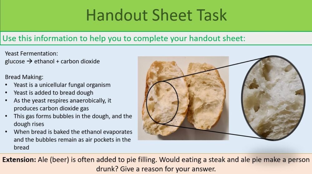 Handout Sheet Activity