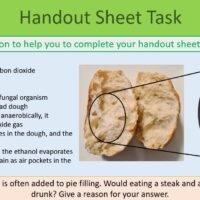 Handout Sheet Activity