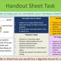Handout Sheet Activity