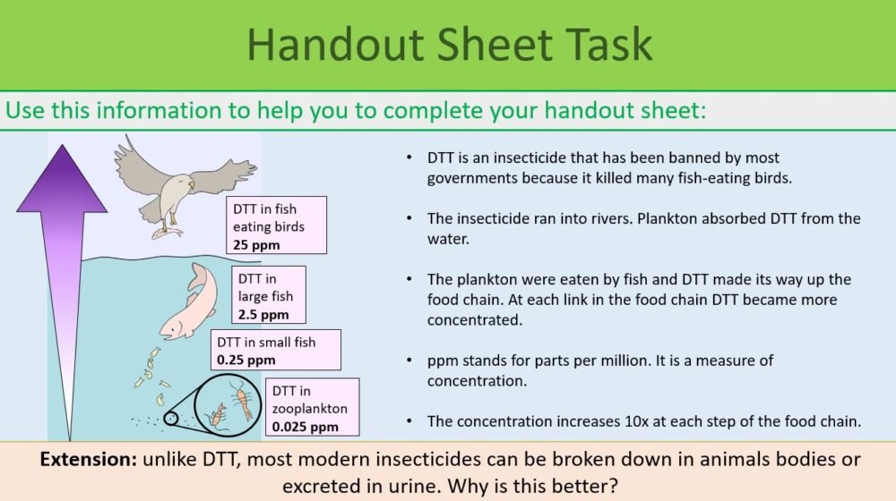 Handout Sheet Activity