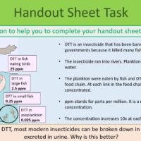 Handout Sheet Activity