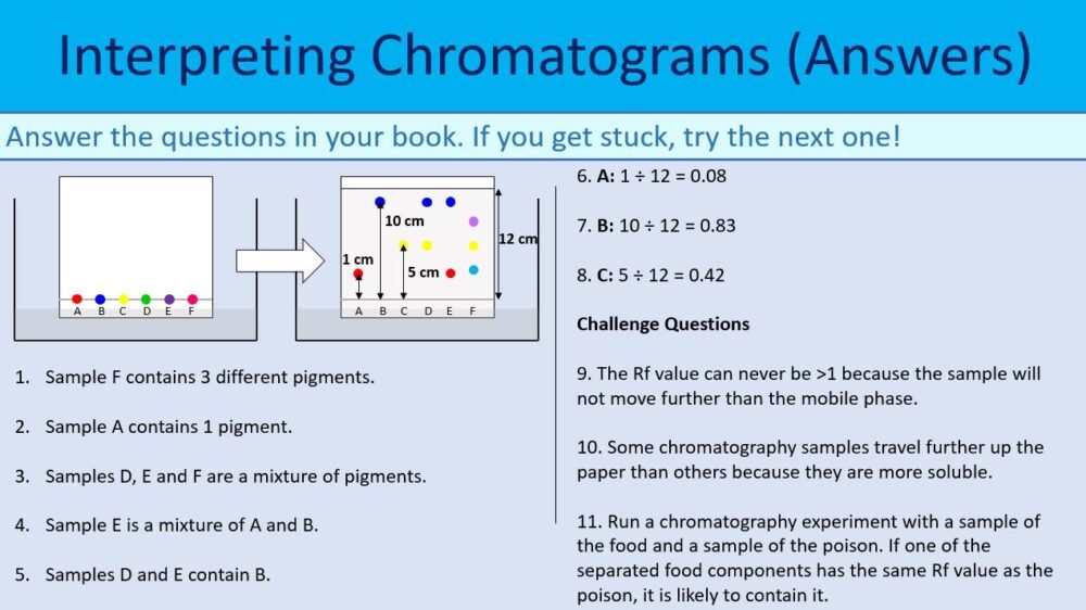 Interpreting Chromatography Slide