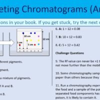 Interpreting Chromatography Slide