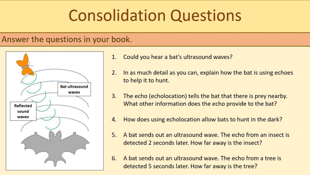 Knowledge Consolidation Questions