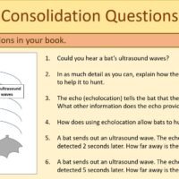 Knowledge Consolidation Questions