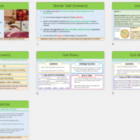 Lesson Slide Thumbnail Images