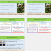 Lesson Slide Thumbnail Images