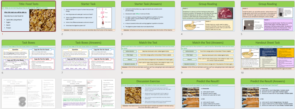 Lesson Slide Thumbnail Images