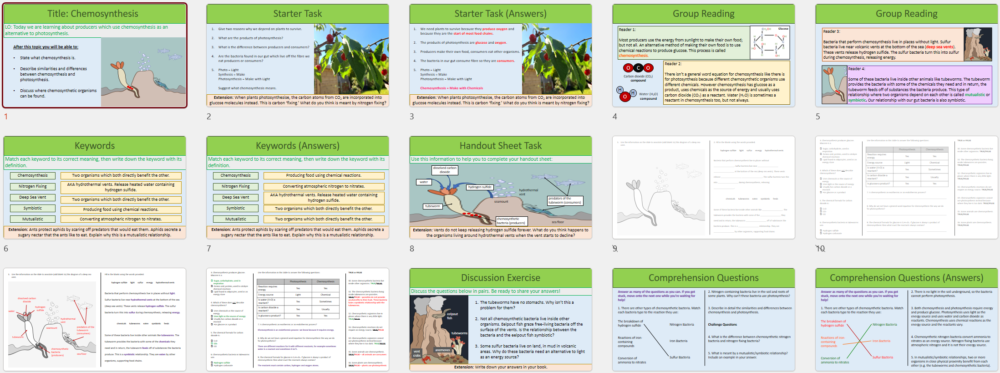 Lesson Slide Thumbnail Images