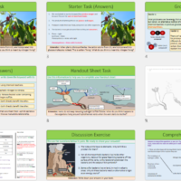 Lesson Slide Thumbnail Images