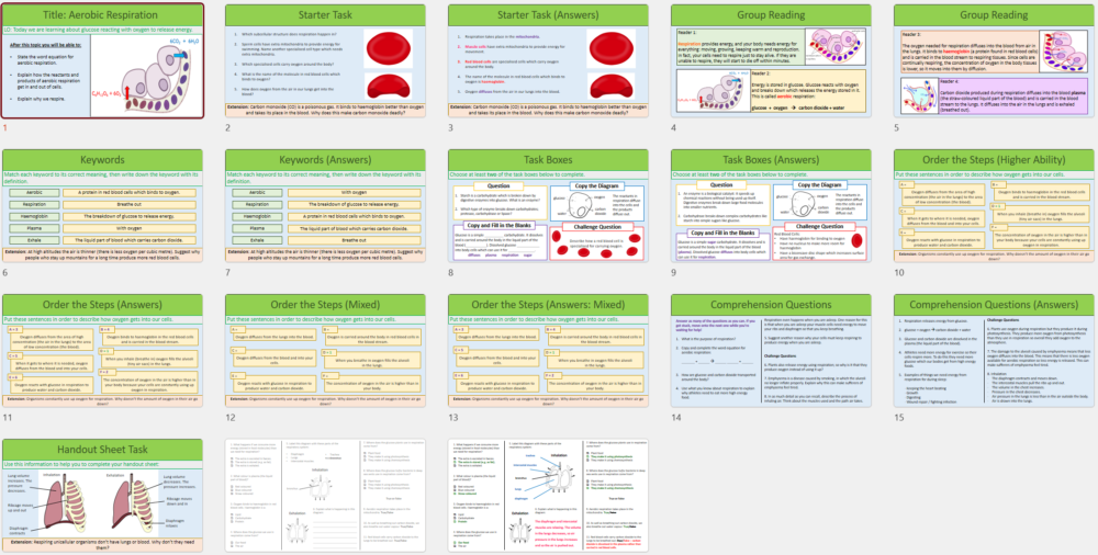 Lesson Slide Thumbnail Images