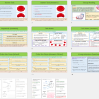 Lesson Slide Thumbnail Images