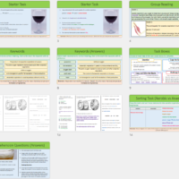 Lesson Slide Thumbnail Images