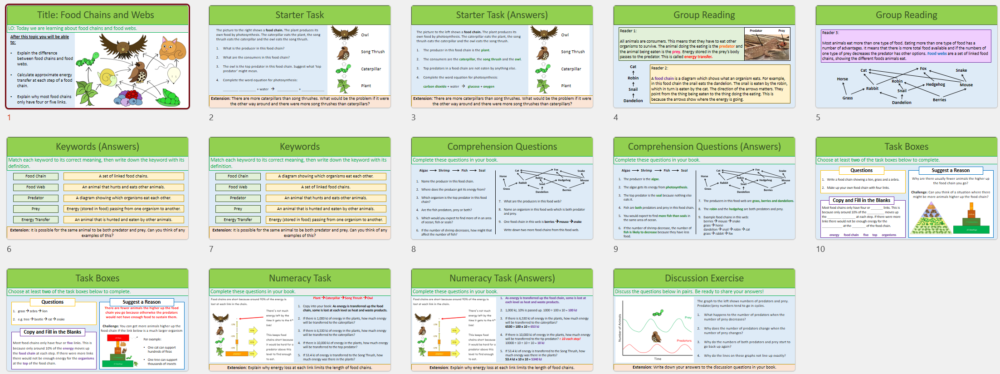 Lesson Slide Thumbnail Images
