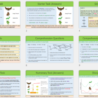 Lesson Slide Thumbnail Images
