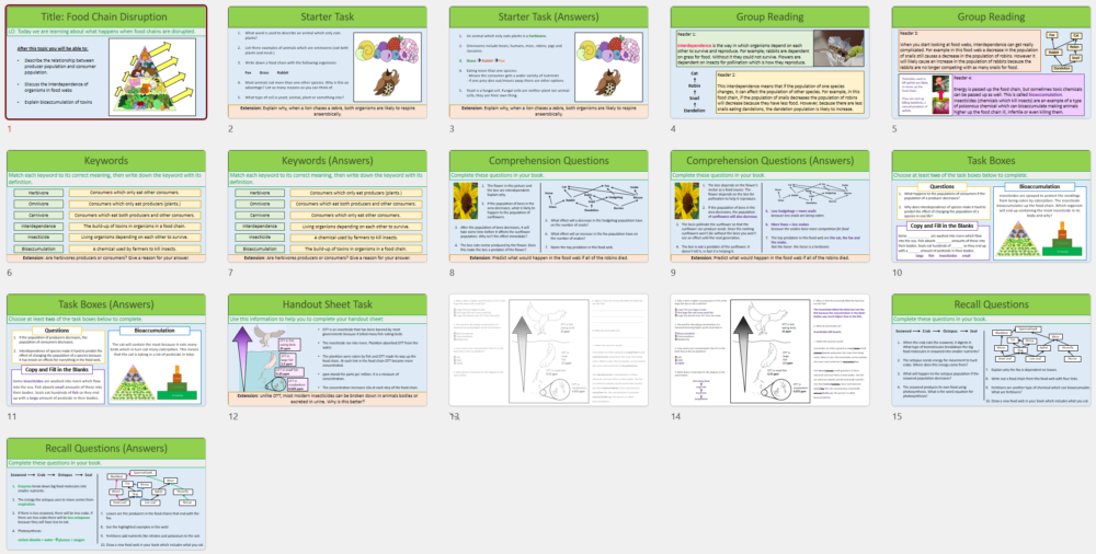 Lesson Slide Thumbnail Images