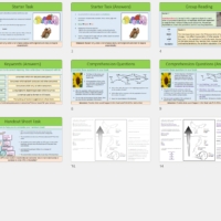 Lesson Slide Thumbnail Images