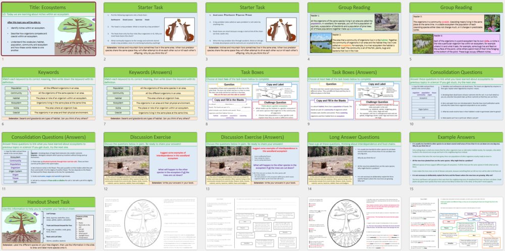 Lesson Slide Thumbnail Images