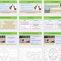 Lesson Slide Thumbnail Images